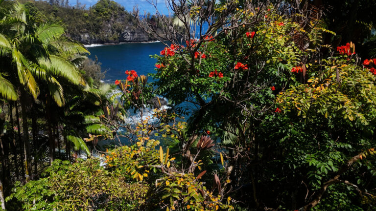 Old Mamalahoa Hwy