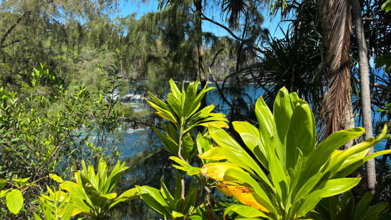 Old Mamalahoa Hwy