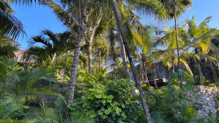 Caption: Tulum Hotelzone